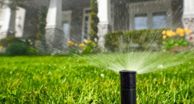 30 Years of Industry Experience