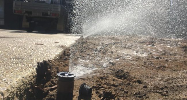 Using the Best Quality Products